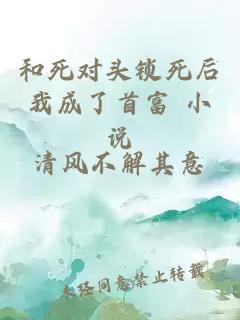 和死對頭鎖死后我成了首富 小說