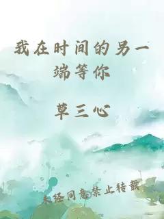 我在時(shí)間的另一端等你