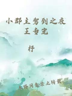小郡主駕到之夜王專寵