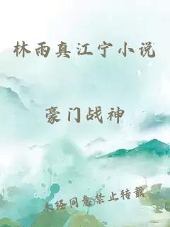 林雨真江寧小說