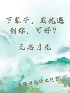 下輩子,我先遇到你,可好?