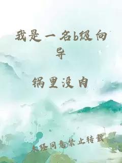 我是一名b級向導