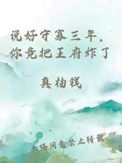 說好守寡三年,你竟把王府炸了