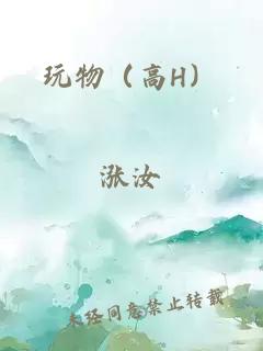 玩物(高H)