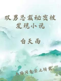 雙男總裁秘密被發(fā)現(xiàn)小說
