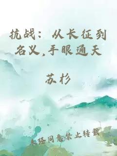 抗戰(zhàn):從長征到名義,手眼通天