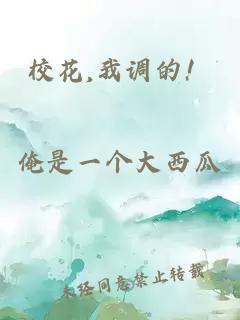 校花,我調的！