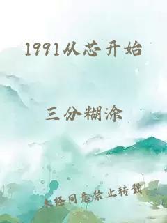1991從芯開始
