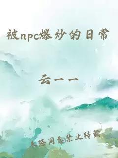 被npc爆炒的日常