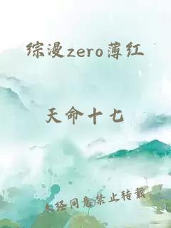 綜漫zero薄紅