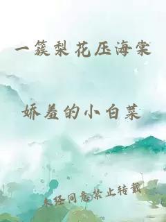 一簇梨花壓海棠