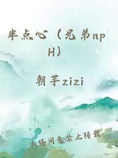 半點心(兄弟np H)