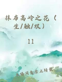 抹布高嶺之花（生/觸/雙）