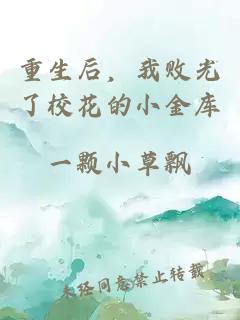 重生后，我敗光了校花的小金庫
