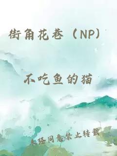 街角花巷（NP）