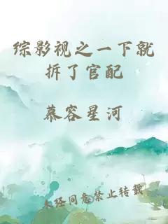 綜影視之一下就拆了官配