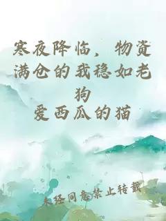 寒夜降臨，物資滿倉的我穩如老狗