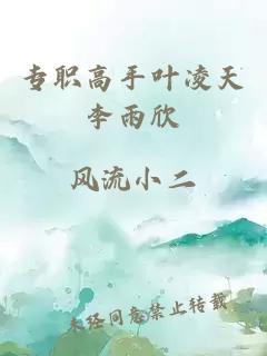 專職高手葉凌天李雨欣