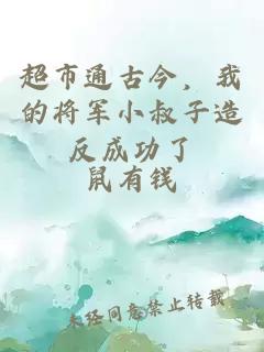 超市通古今，我的將軍小叔子造反成功了