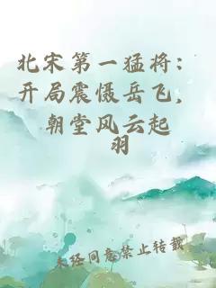 北宋第一猛將：開局震懾岳飛，朝堂風云起