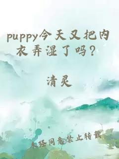 puppy今天又把內衣弄濕了嗎？