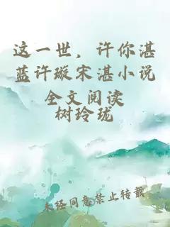 這一世，許你湛藍許璇宋湛小說全文閱讀