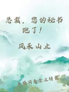 總裁,您的秘書跑了!