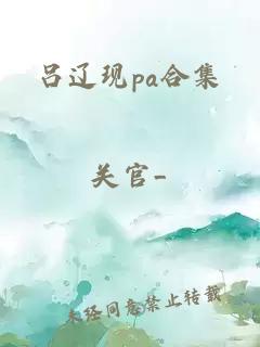 呂遼現(xiàn)pa合集