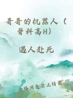 哥哥的機器人（骨科高H）