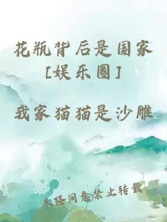 花瓶背后是國家[娛樂圈]