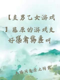 【直男乙女游戲】藤原的游戲支線全收錄