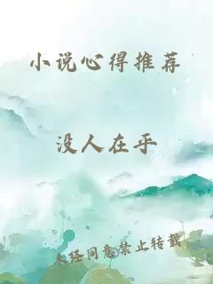 小說(shuō)心得推薦
