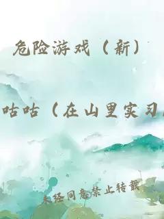 危險游戲（新）