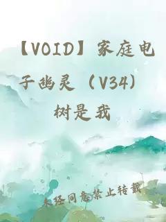 【VOID】家庭電子幽靈（V34）