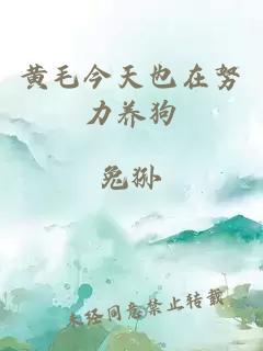 黃毛今天也在努力養(yǎng)狗