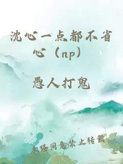 沈心一點(diǎn)都不省心（np）