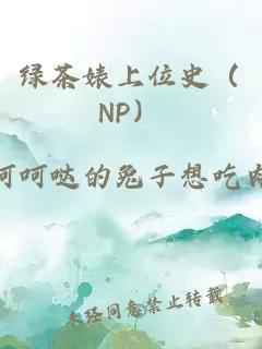 綠茶婊上位史（NP）