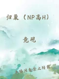 歸巢(NP高H)