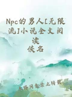 Npc的男人[無限流]小說全文閱讀