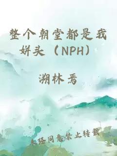 整個(gè)朝堂都是我姘頭（NPH）