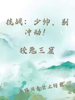 抗戰(zhàn)：少帥，別沖動！