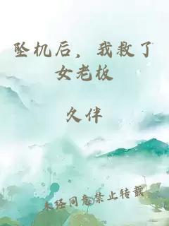墜機后，我救了女老板