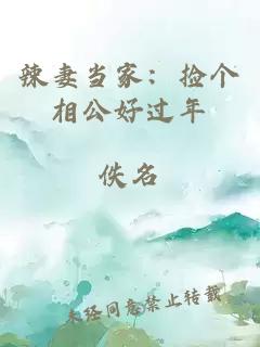 辣妻當家:撿個相公好過年