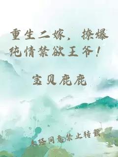 重生二嫁,撩爆純情禁欲王爺!