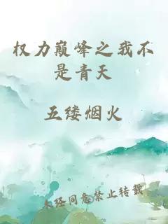 權力巔峰之我不是青天