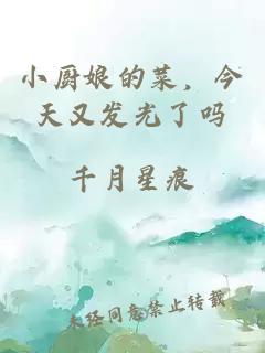 小廚娘的菜,今天又發光了嗎