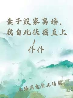 妻子毀家離婚，我自此扶搖直上！