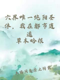 六界唯一純陽圣體，我在都市逍遙