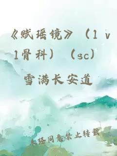 《賦瑤鏡》（1 v1骨科）（sc）