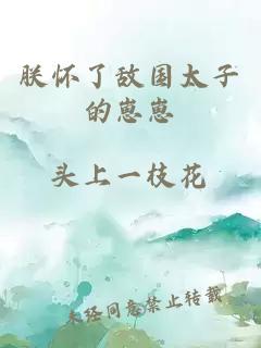 朕懷了敵國(guó)太子的崽崽